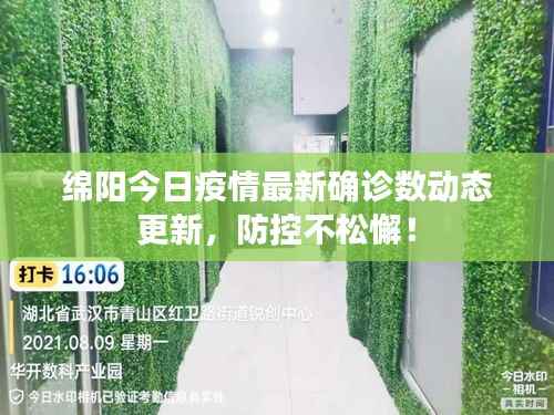 绵阳今日疫情最新确诊数动态更新,防控不松懈!