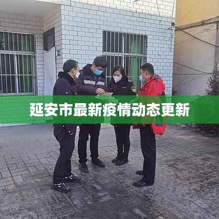 延安市最新疫情动态更新