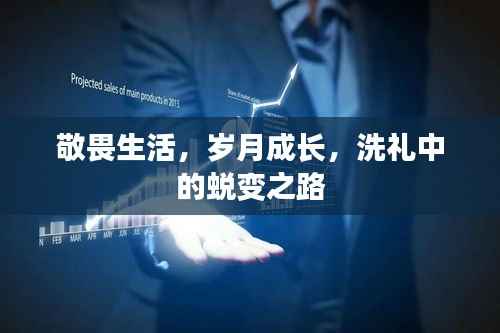敬畏生活,岁月成长,洗礼中的蜕变之路