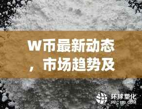 W币最新动态,市场趋势及前景展望