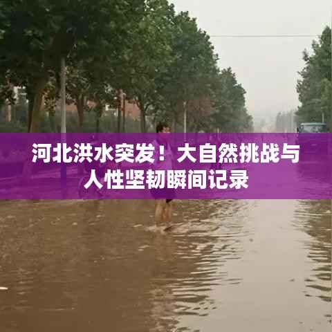 河北洪水突发!大自然挑战与人性坚韧瞬间记录