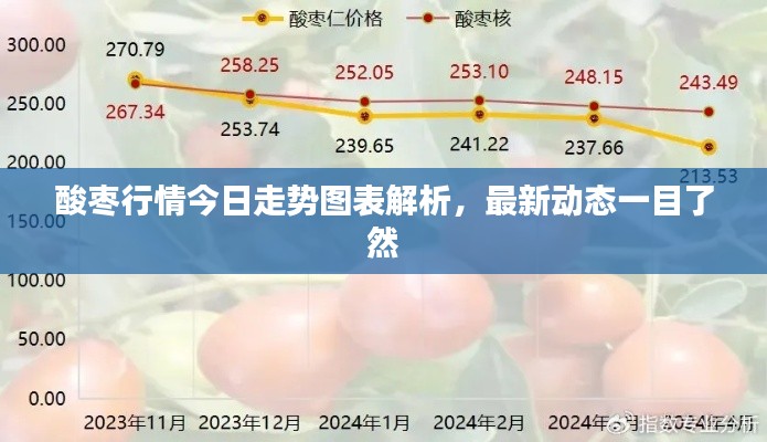 酸枣行情今日走势图表解析,最新动态一目了然