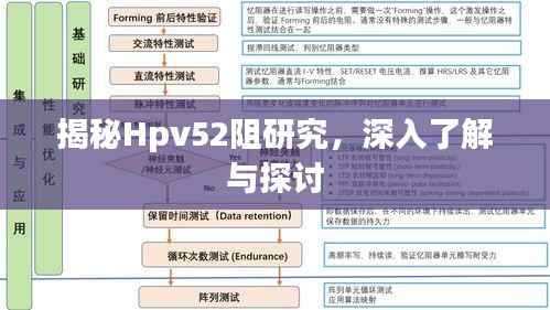 揭秘Hpv52阻研究,深入了解与探讨