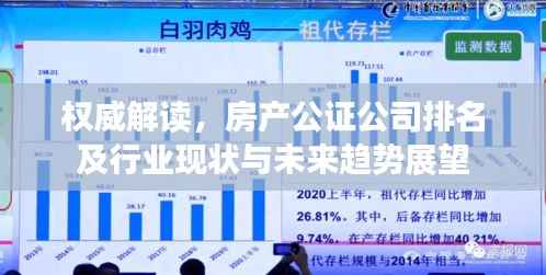 权威解读,房产公证公司排名及行业现状与未来趋势展望