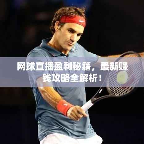 网球直播盈利秘籍,最新赚钱攻略全解析!