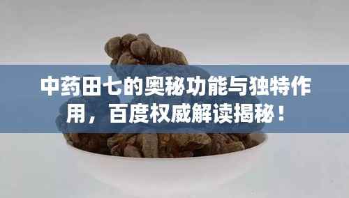中药田七的奥秘功能与独特作用,百度权威解读揭秘!