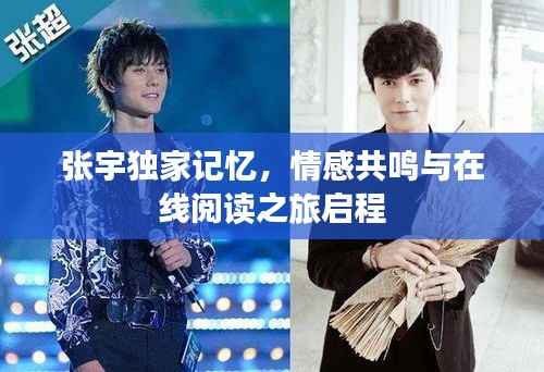 张宇独家记忆,情感共鸣与在线阅读之旅启程