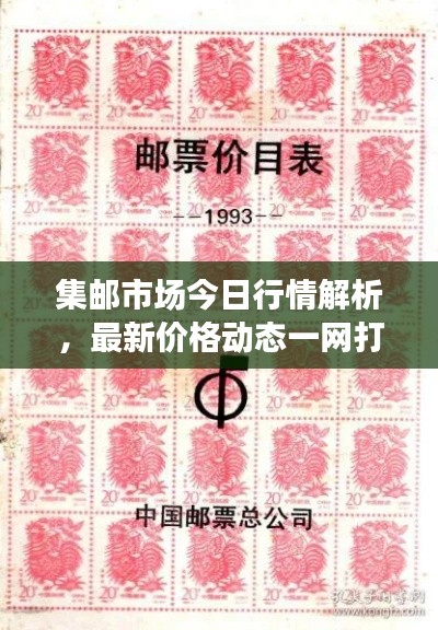集邮市场今日行情解析,最新价格动态一网打尽