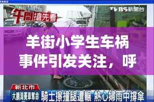 羊街小学生车祸事件引发关注,呼吁社会共同守护儿童安全