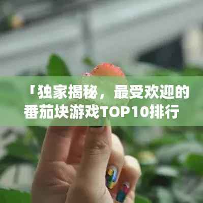 「独家揭秘,最受欢迎的番茄块游戏TOP10排行榜,一网打尽游戏排行资讯!」