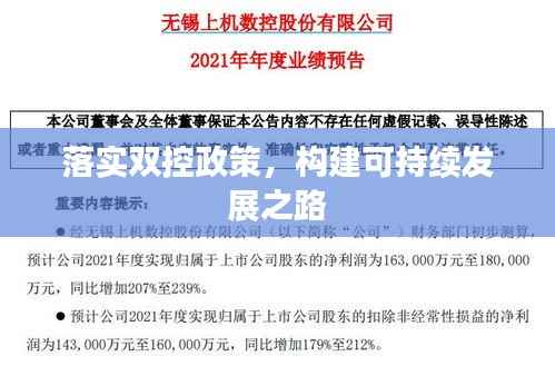 落实双控政策,构建可持续发展之路