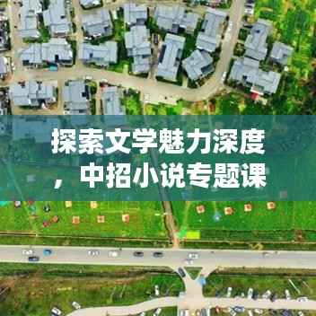 探索文学魅力深度,中招小说专题课件揭秘