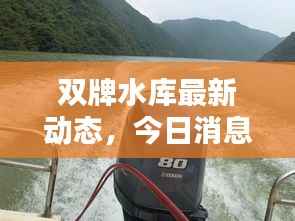 双牌水库最新动态,今日消息一网打尽
