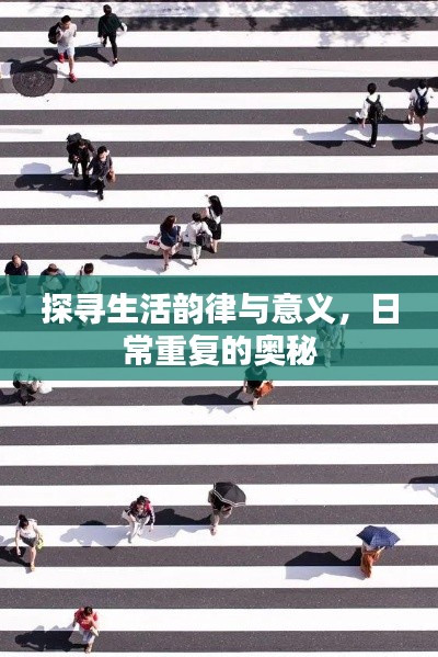 探寻生活韵律与意义,日常重复的奥秘