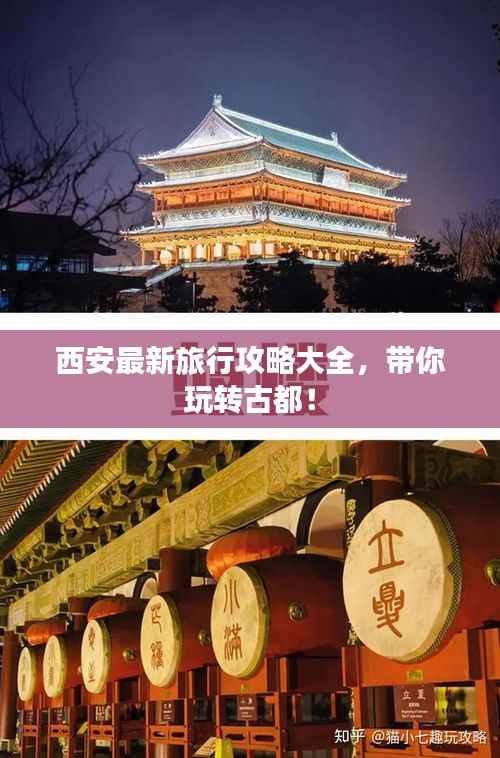 惊弦之鸟 第3页