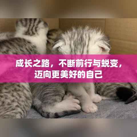 成长之路,不断前行与蜕变,迈向更美好的自己