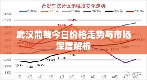 武汉葡萄今日价格走势与市场深度解析