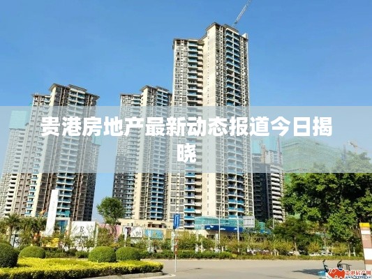 贵港房地产最新动态报道今日揭晓