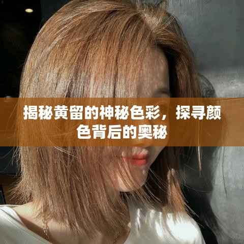 揭秘黄留的神秘色彩,探寻颜色背后的奥秘