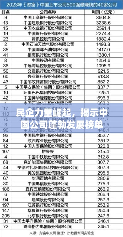民企力量崛起,揭示中国公司蓬勃发展榜单