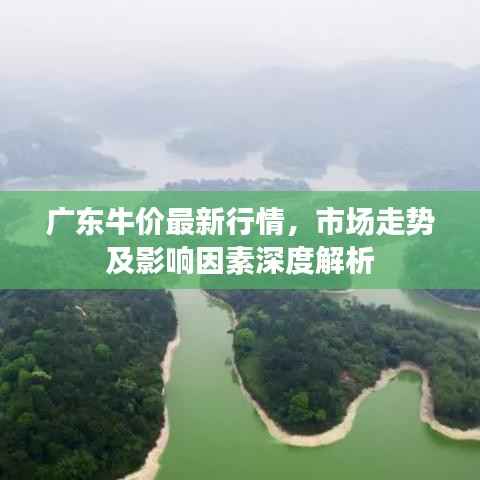 广东牛价最新行情,市场走势及影响因素深度解析