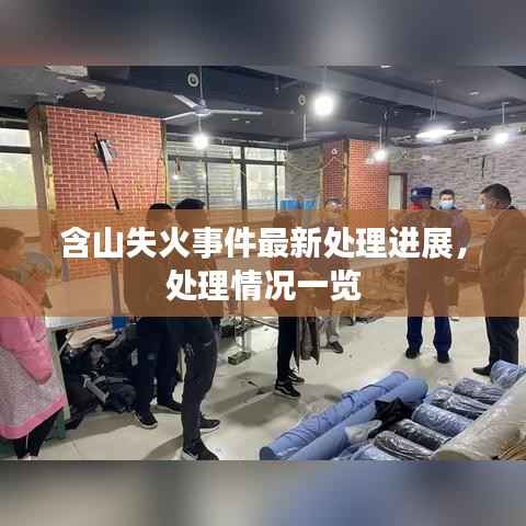 含山失火事件最新处理进展,处理情况一览