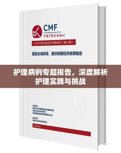 护理病例专题报告，深度解析护理实践与挑战