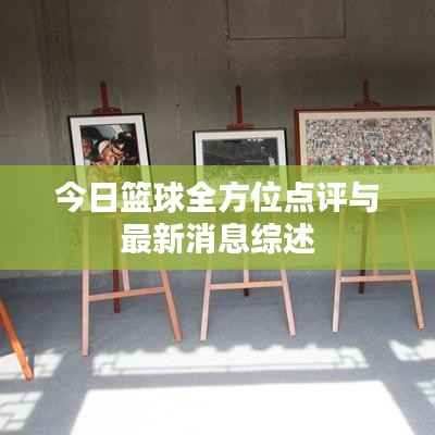 今日篮球全方位点评与最新消息综述