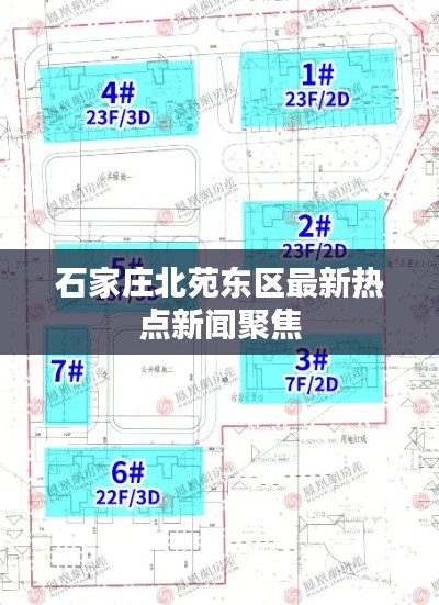 石家庄北苑东区最新热点新闻聚焦