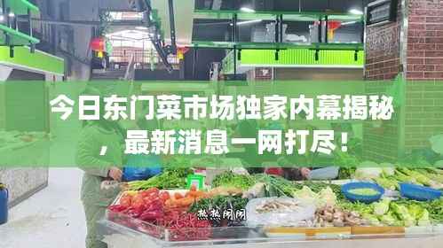 今日东门菜市场独家内幕揭秘，最新消息一网打尽！