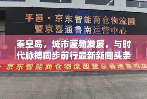 秦皇岛，城市蓬勃发展，与时代脉搏同步前行最新新闻头条