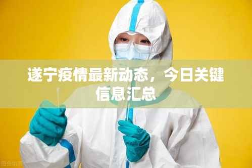 遂宁疫情最新动态，今日关键信息汇总