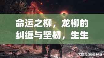 命运之柳,龙柳的纠缠与坚韧,生生不息的宿命之旅