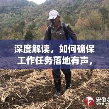 深度解读,如何确保工作任务落地有声,执行有力?