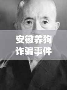 安徽养狗诈骗事件内幕揭秘,最新动态与进展