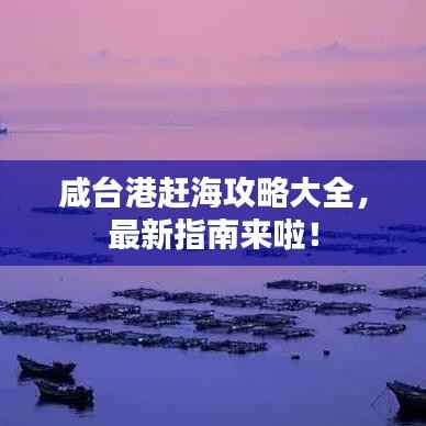 咸台港赶海攻略大全,最新指南来啦!