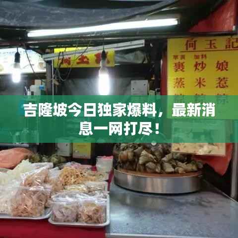 吉隆坡今日独家爆料，最新消息一网打尽！