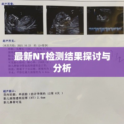 最新NT检测结果探讨与分析