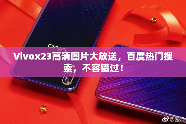 Vivox23高清图片大放送，百度热门搜索，不容错过！