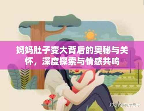 妈妈肚子变大背后的奥秘与关怀,深度探索与情感共鸣