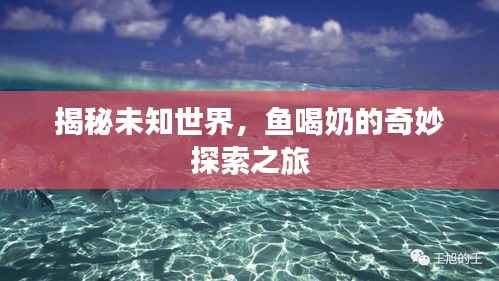揭秘未知世界，鱼喝奶的奇妙探索之旅
