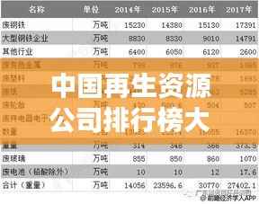 中国再生资源公司排行榜大揭秘!