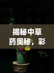 揭秘中草药奥秘，彩色图带你开启一场奇妙之旅