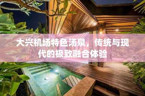 大兴机场特色汤泉,传统与现代的极致融合体验