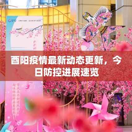 酉阳疫情最新动态更新，今日防控进展速览