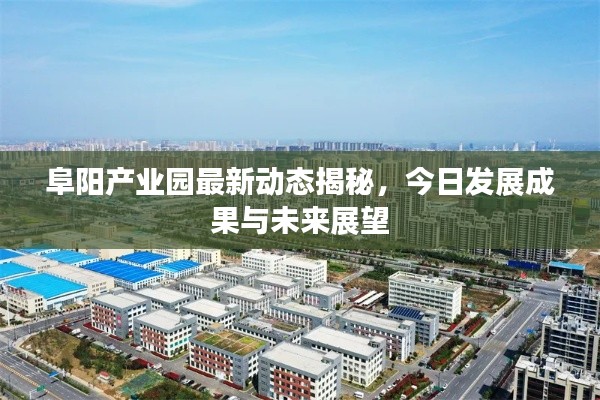 阜阳产业园最新动态揭秘,今日发展成果与未来展望