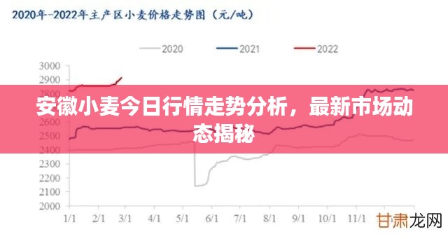 安徽小麦今日行情走势分析,最新市场动态揭秘