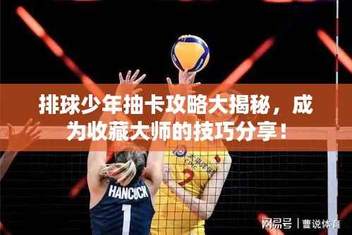 排球少年抽卡攻略大揭秘,成为收藏大师的技巧分享!