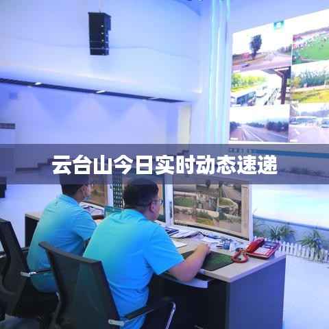 云台山今日实时动态速递