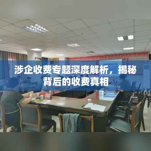 涉企收费专题深度解析,揭秘背后的收费真相